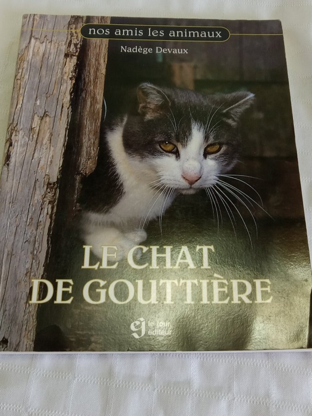 Book "Le chat de gouttière", in French